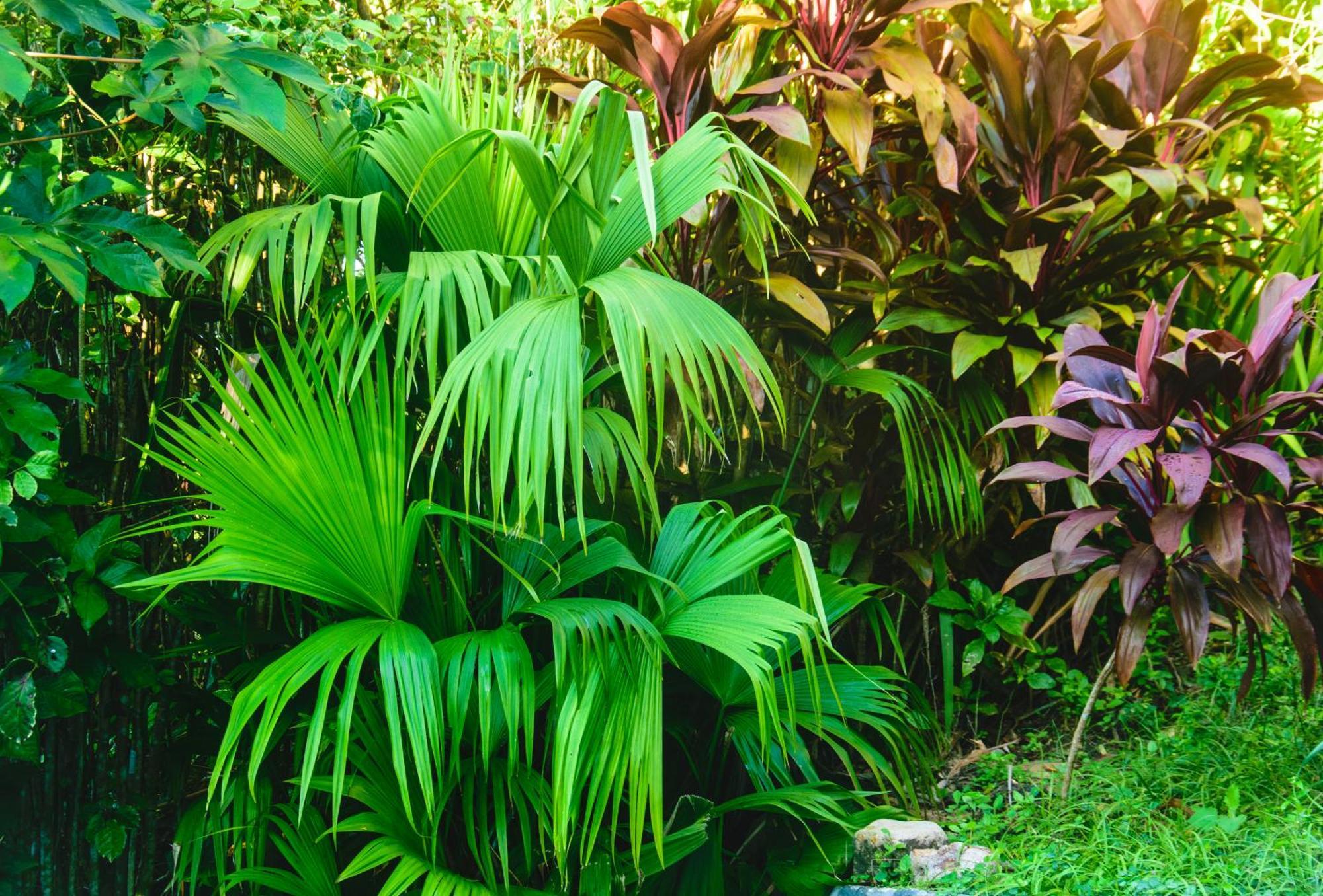 Pousada Jardim Das Bromelias Porto Seguro Exterior foto